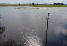 Estiman en 5 millones de hectáreas afectadas por las lluvias en la provincia de Buenos Aires