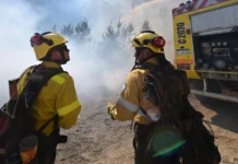 Chubut: el Gobierno asegura que 22 de los 32 incendios están “completamente extinguidos”