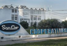 Debe US$120 millones: la láctea SanCor pidió su quiebra