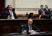 Adorni: “Todos los pagos de los viajes que realicé con mi familia los afronté yo mismo”