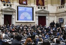 Diputados dio media sanción a la ley que recorta los subsidios al gas por “zona fría”