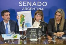 Dictamen en el Senado: El oficialismo dio de baja al capítulo de venta de tierras a extranjeros