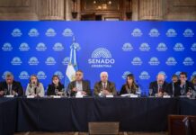 Zona Fría: LLA consigue aval en Senado para limitar el subsidio al gas a Patagonia, Malargüe y Puna