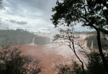 Reabre el Parque Nacional Iguazú tras la baja del río